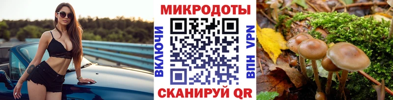 дарнет шоп  KRAKEN как зайти  Псилоцибиновые грибы мицелий  darknet наркотические препараты  Оханск 